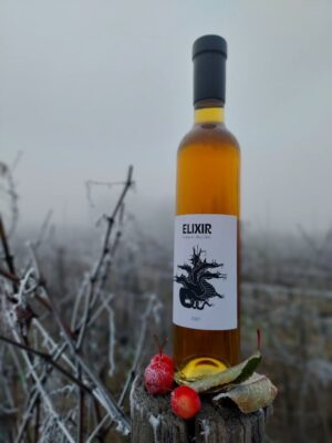 Elixir - Jégcider 2021