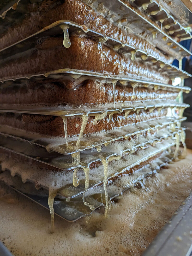 Fermentációs folyamat